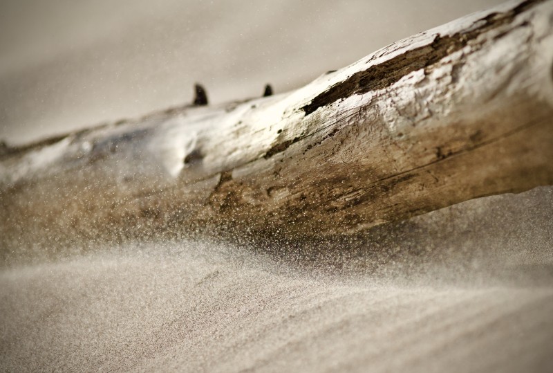 Photography, Log, Simple Background, Sand Wallpaper
