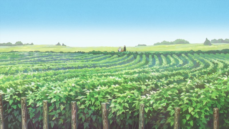 Sousou No Frieren, Anime, Anime Screenshot, Field, Leaves Wallpaper