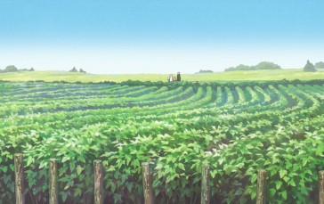 Sousou No Frieren, Anime, Anime Screenshot, Field, Leaves Wallpaper