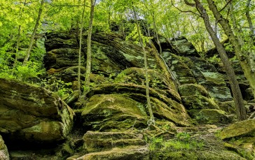 Nature, Rocks, Moss, Trees, Cliff, Forest Wallpaper
