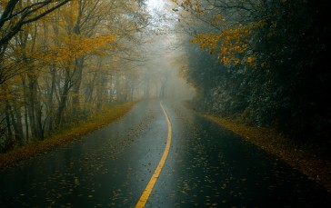 Fall, Nature, Road, Dark Wallpaper