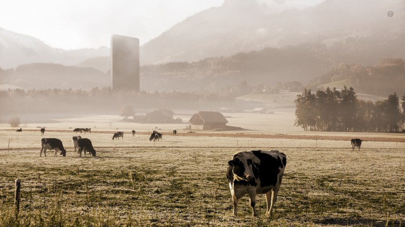Cow, Field, Digital Art, Animals, Grass Wallpaper