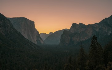 Yosemite National Park, USA, Forest, Trees Wallpaper
