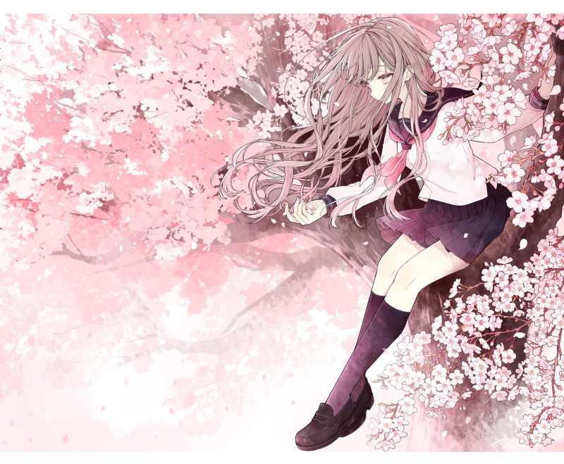 Pixiv, Akakura, Flowers, Anime Girls Wallpaper