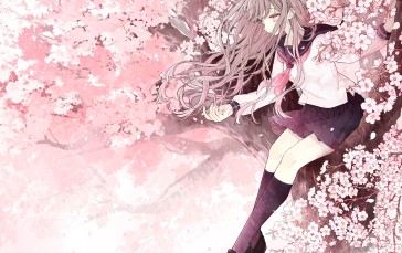 Pixiv, Akakura, Flowers, Anime Girls Wallpaper