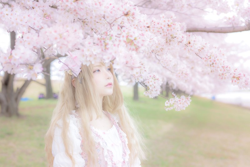 Cherry Blossom, Marina Amatsu, Asian, Women, Model Wallpaper