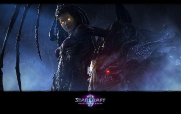Starcraft II, StarCraft II : Heart Of The Swarm, Zerg, Video Games, Video Game Art, Video Game Characters Wallpaper