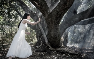 Women, Model, Asian, Forest, White Dress Wallpaper