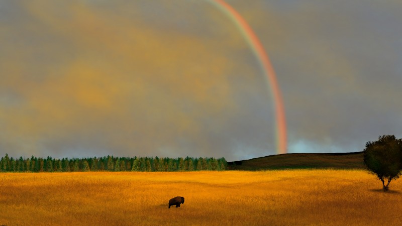 Digital Painting, Digital Art, Nature, Landscape, Buffalo, Rainbows Wallpaper