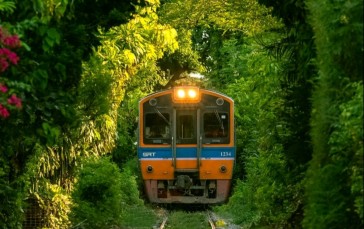 Train, Locomotive, Nature, Trees Wallpaper