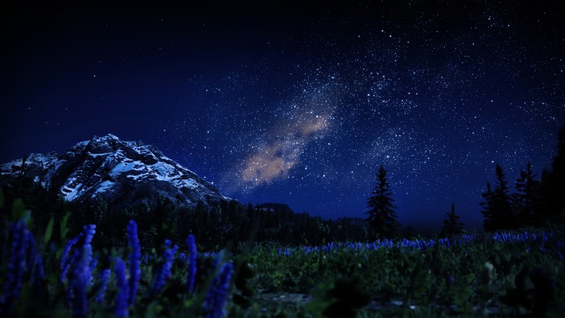 Red Dead Redemption 2, Night, Nature, Milky Way, Forest, Valley Wallpaper