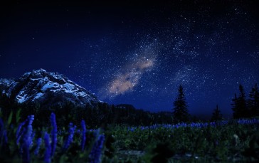 Red Dead Redemption 2, Night, Nature, Milky Way, Forest, Valley Wallpaper