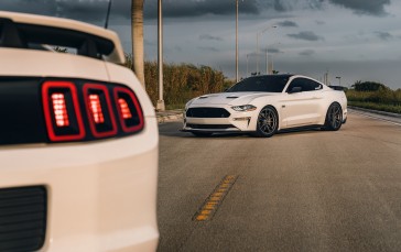 Car, Ford, Ford Mustang, Taillights Wallpaper