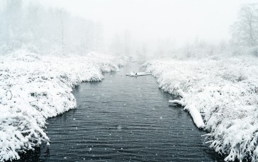 Winter, River, Water, Forest Wallpaper