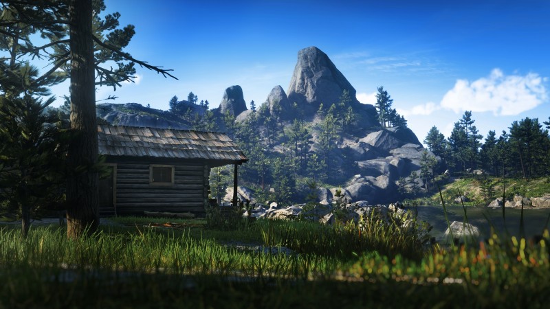 Red Dead Redemption 2, Cabin, Forest, Nature, Daylight Wallpaper