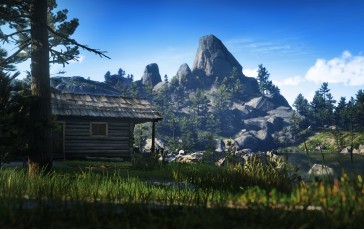 Red Dead Redemption 2, Cabin, Forest, Nature, Daylight Wallpaper
