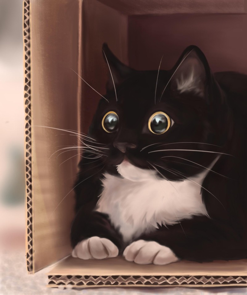 Cats, Box, Painting, Portrait Display Wallpaper