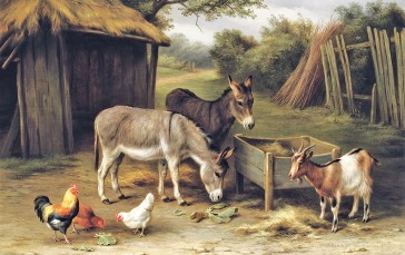 Artwork, Painting, Animals, Goats, Donkey, Chickens Wallpaper