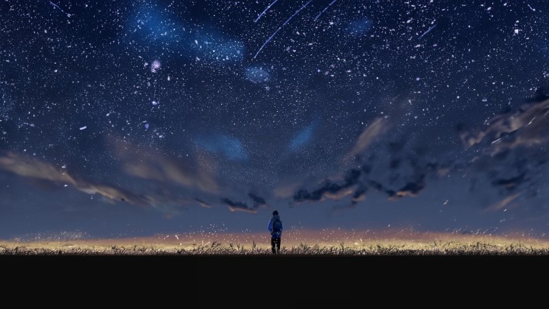 Stars, Clouds, Grass, Shooting Stars, Standing, Night Wallpaper