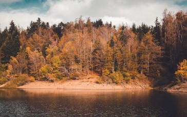 Croatian, Landscape, Seasons, Leaves, Lake Wallpaper