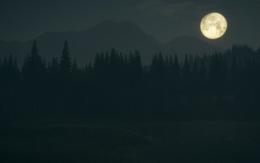 TheHunter: Call of the Wild, Night, Video Game Art, Moon, Moonlight, Forest Wallpaper