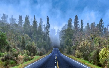 Trey Ratcliff, Photography, Road, Trees, Mist Wallpaper