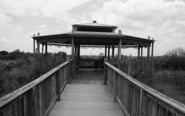 Observation Deck, Nature, Monochrome Wallpaper