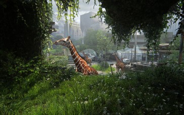 The Last of Us, Video Games, Giraffes Wallpaper