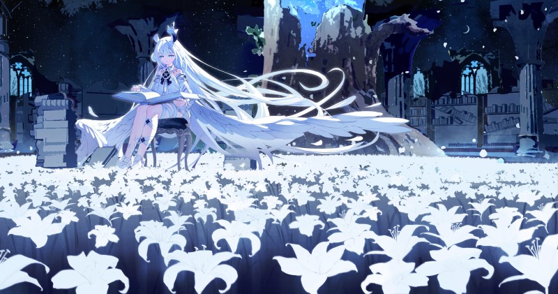 Anime, Anime Girls, Long Hair, Flowers, Field, Crescent Moon Wallpaper