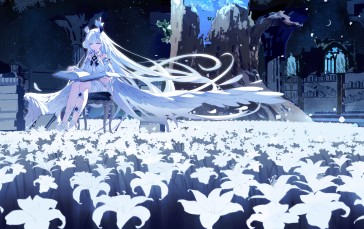 Anime, Anime Girls, Long Hair, Flowers, Field, Crescent Moon Wallpaper