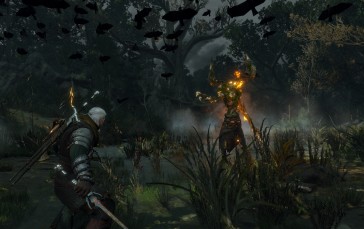 The Witcher 3: Wild Hunt, PC Gaming, Screen Shot, The Witcher Wallpaper