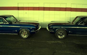 Ford Mustang, Car, American Cars Wallpaper