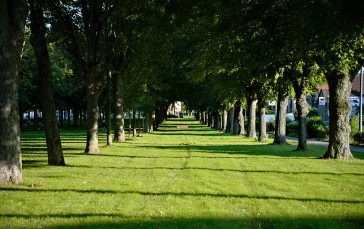 Park, Trees, Grass, Green, Photography Wallpaper