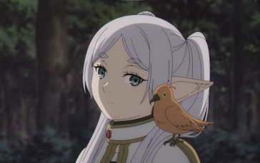 Sousou No Frieren, Anime, Screen Shot, Elven, Birds, Pointy Ears Wallpaper