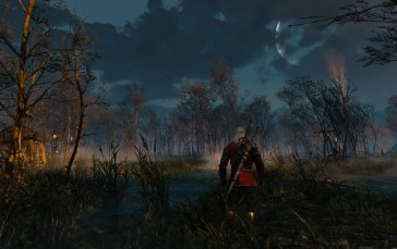 The Witcher 3: Wild Hunt, Screen Shot, PC Gaming, Swamp Wallpaper