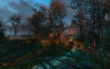 The Witcher 3: Wild Hunt, Screen Shot, PC Gaming, Swamp Wallpaper