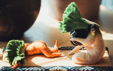 Sexy Funk Pig, Food, Vegetables, Carrots Wallpaper