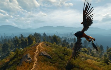 The Witcher 3: Wild Hunt, Screen Shot, PC Gaming, Griffon Wallpaper