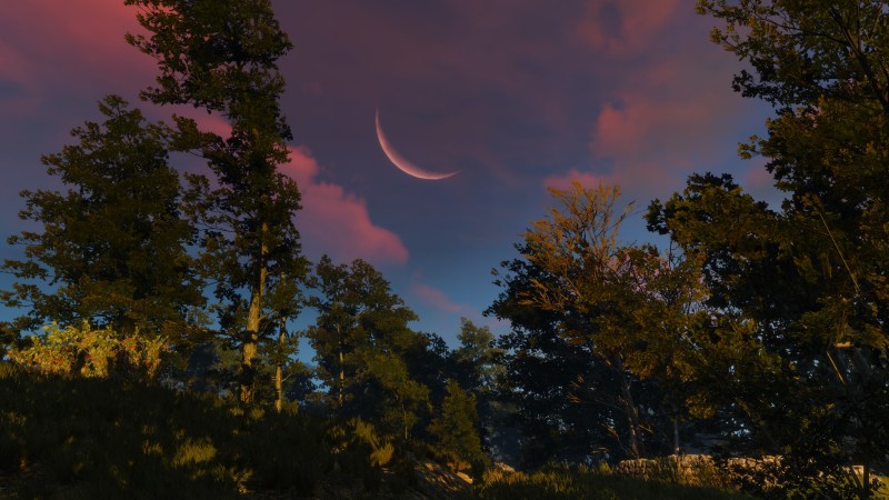 The Witcher 3: Wild Hunt, Screen Shot, PC Gaming, Moon, Sunset Wallpaper