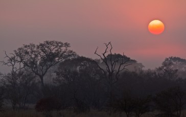 Sunrise, Nature, Kruger National Park Wallpaper