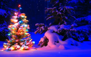 Christmas, Christmas Tree, Night, Snow Covered, Lights Wallpaper