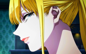 The Witch and the Beast, Phanora Kristoffel, Anime, Anime Screenshot, Witch Wallpaper