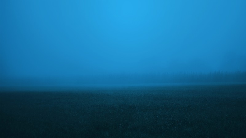 Mist, Grass, Fog, Trees, Photoshopped Wallpaper