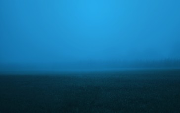 Mist, Grass, Fog, Trees, Photoshopped Wallpaper